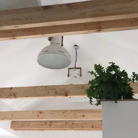 Apartment Garden House