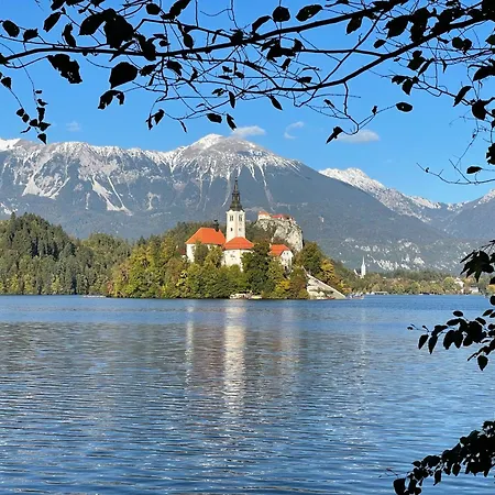 Apartmán Garden House